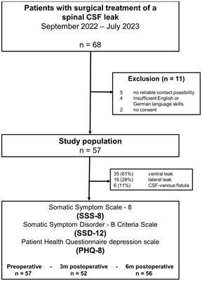 More than a headache—somatic and mental symptom burden in spontaneous intracranial hypotension before and after surgical treatment